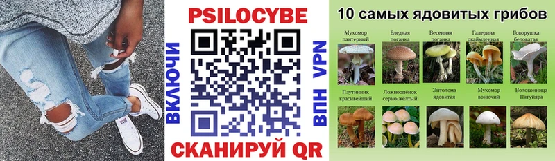 Галлюциногенные грибы GOLDEN TEACHER  MEGA рабочий сайт  Суворов  хочу наркоту 